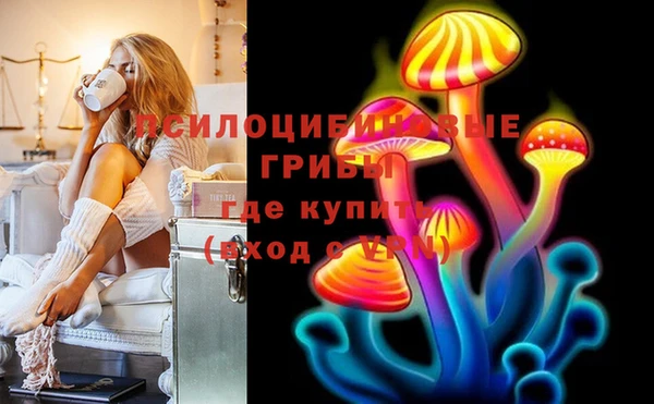 a pvp Алексин