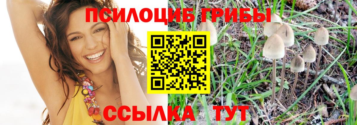 Псилоцибиновые грибы мухоморы  Вход с VPN  Псилоцибиновые грибы Psilocybe  Чебаркуль 