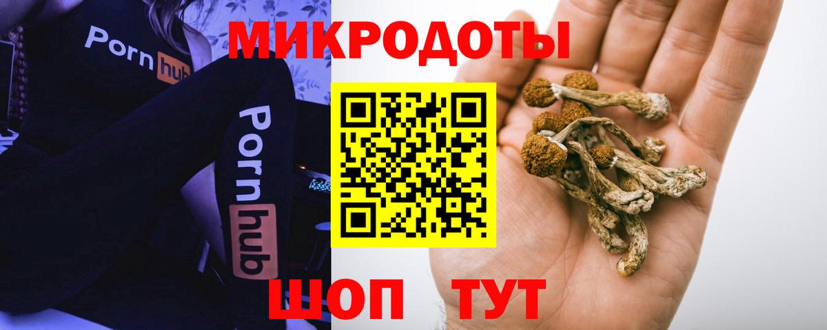 Псилоцибиновые грибы мухоморы Чебаркуль